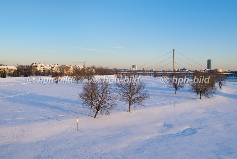 Winter in Düsseldorf
Rheinwiesen Oberkassel 09-117.jpg
