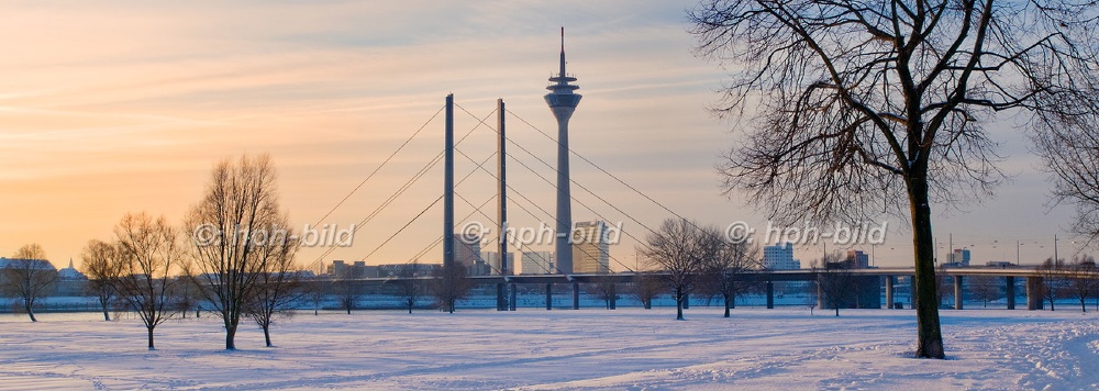 Winter in Düsseldorf
Rheinwiesen Oberkassel DL 09-120.JPG