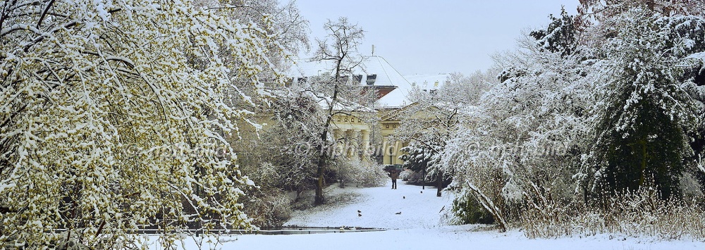 Winter in Düsseldorf
City - Hofgarten mit Ratinger Tor DL 16-045.JPG